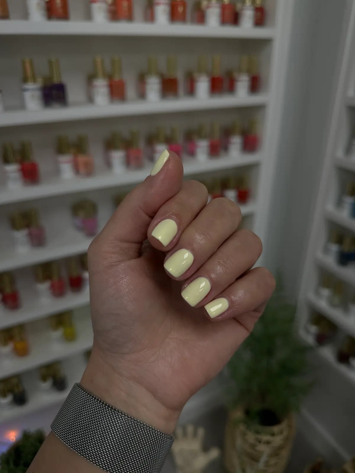 Pastel yellow gel nails in front of the salon's polish wall