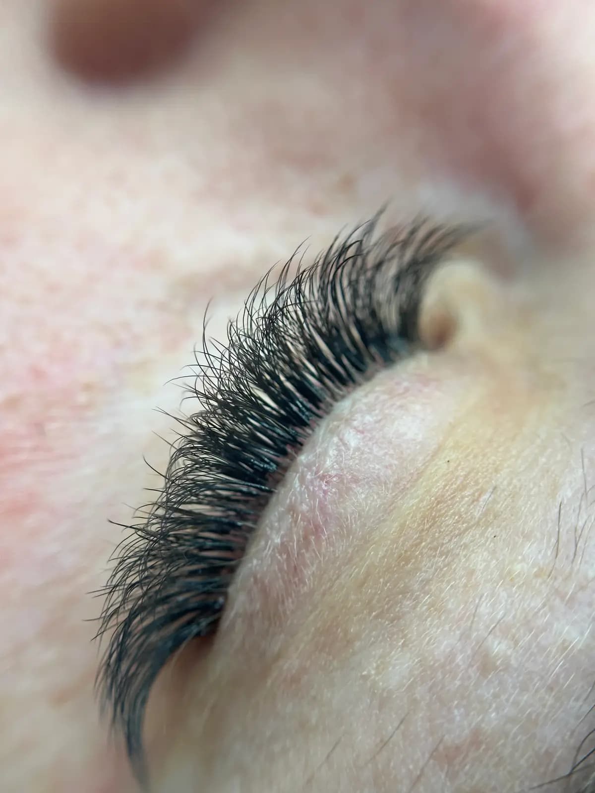 Macro of the lash line showing hair-by-hair isolation
